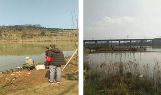 區畜牧局開展春季漁政巡查，保障畜牧漁業飼料銷售安全