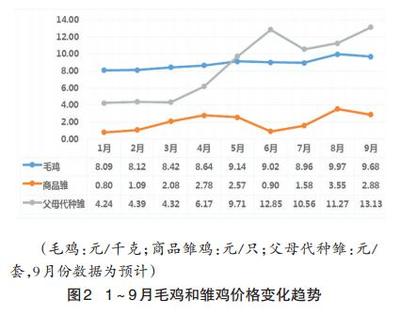 2014年前三季度白羽肉雞產業發展與未來走勢分析