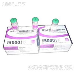 鄭州翰威畜牧科技 獸藥飼料火爆招商，賦能現代畜牧漁業新篇章