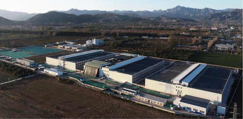 豐收時節譜新篇 2024中國農民豐收節聚焦畜牧水產品質提升與飼料銷售新動能